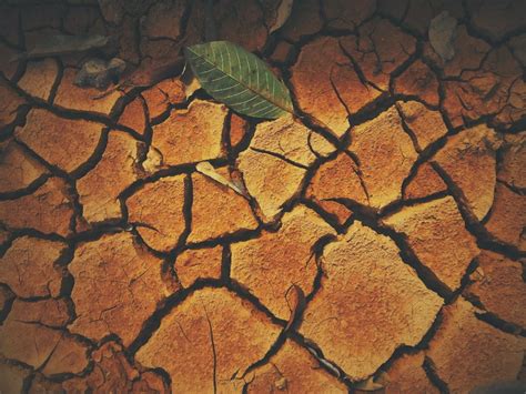 proses perkembangan tanah azasi  tanah khas muhammad rozadi