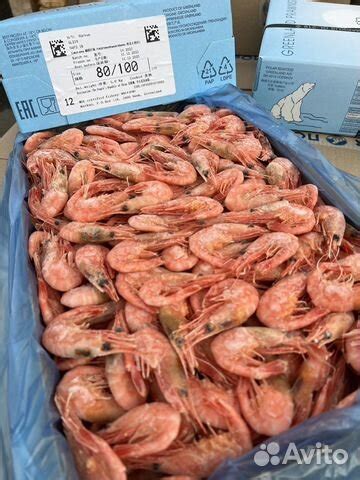 Креветки Северные купить в Москве | Товары для дома и дачи | Авито