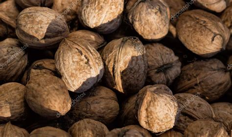 circassian walnut texture stock photo  scherbinator