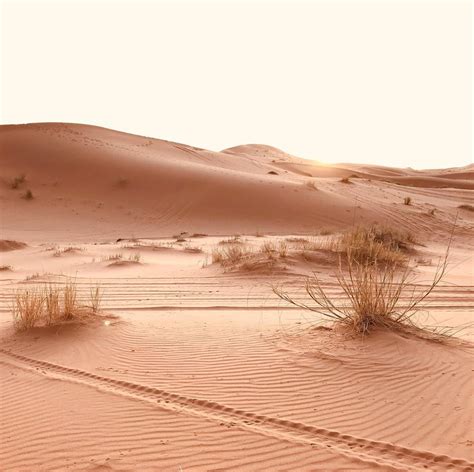 sahara desert | Sahara desert, Abstract artwork, Sahara