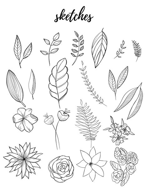 Bullet Journaling – Liz Kohler ... Botanical Line Drawing, Botanical Drawings, Botanical ...