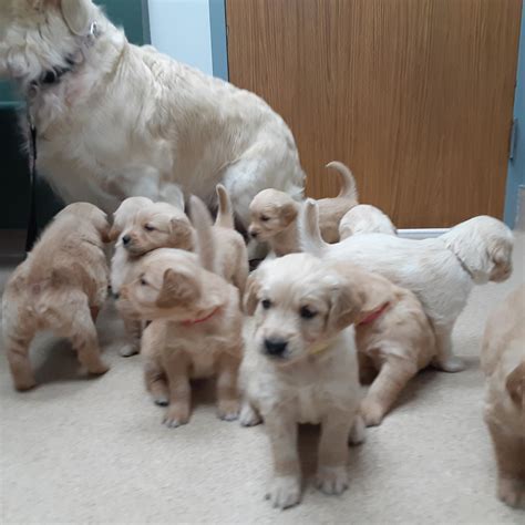 new berlin animal hospital 4