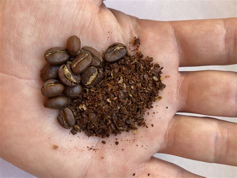 What Grind for Percolator? How to Do It Right Every Time