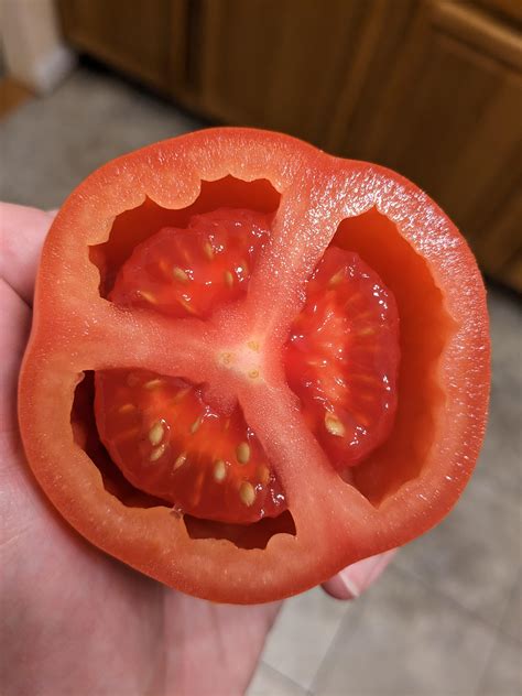 The inside of this tomato is separated from the outside : r