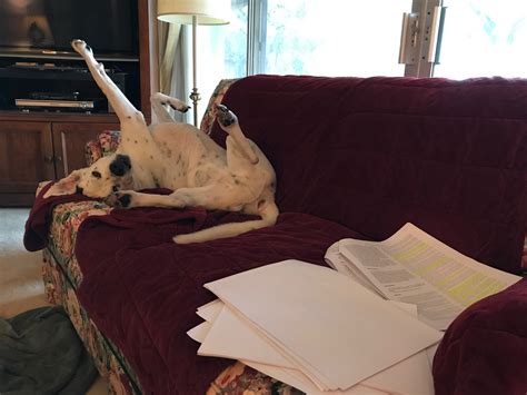 About Carrie Wiita — MFT California