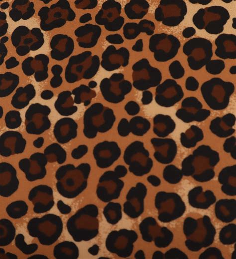 Leopard Lycra | Showtime Fabrics
