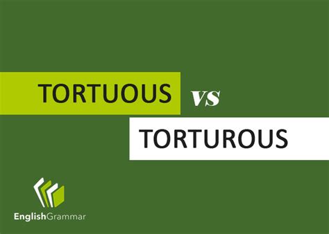 tortuous  torturous