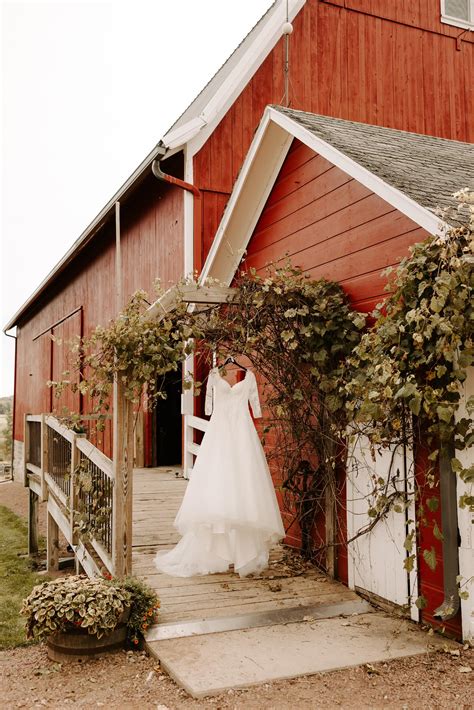 Tansy Hill Farm | Wausau WI