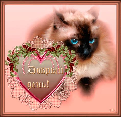 😃 Доброго дня красивые картинки и открытки с пожеланиями.