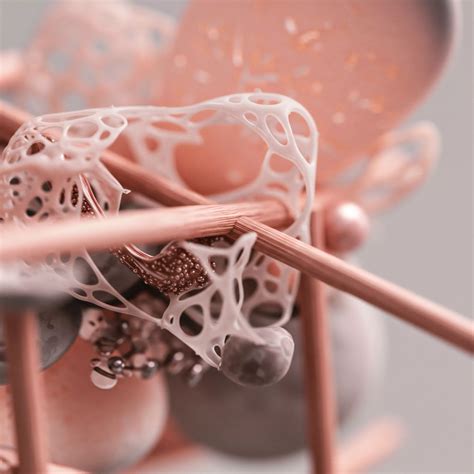 Structural Renewal → Area