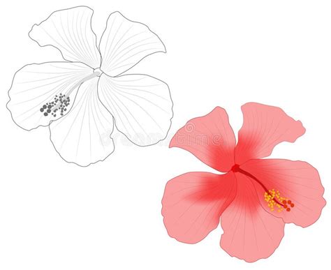 bunga raya drawing easy easy kids zone flowers drawing facebook