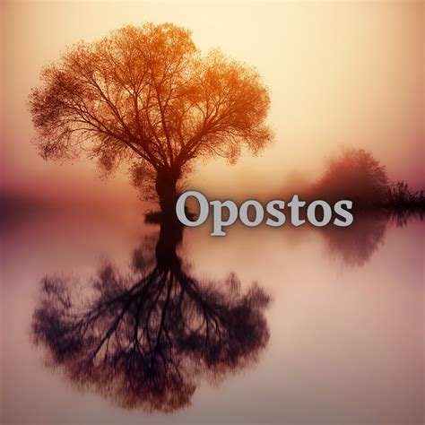 Opostos
