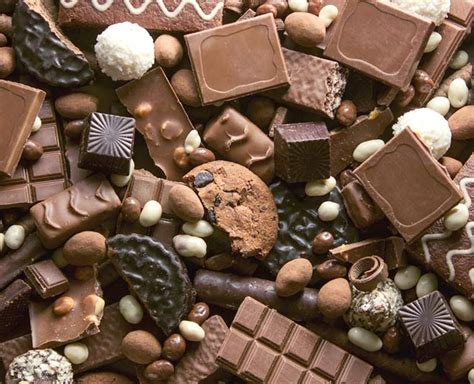 world chocolate day     history  chocolate herzindagi