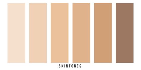 skin tone pallet color set vector  vector art  vecteezy
