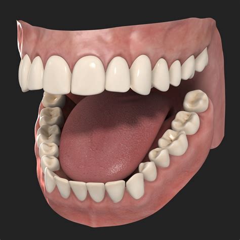 Images Of Teeth