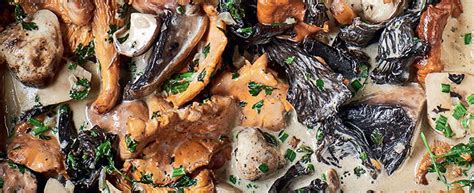 Lost Dishes: Balaban's - Fricassee of Wild Mushrooms