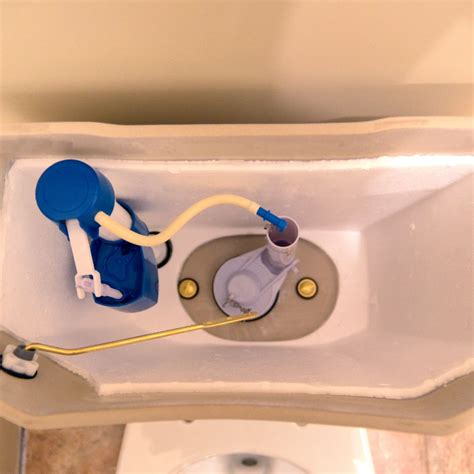 4 More Toilet Maintenance Tips | The Mink Plumbing