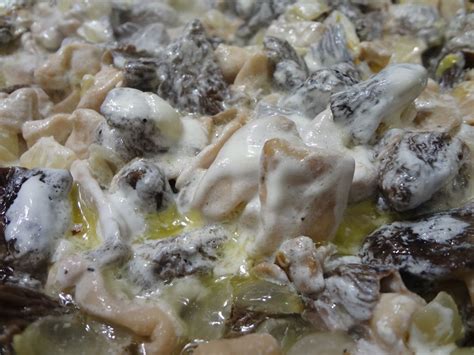 Шапочки сморчковые и сморчки, тушеные в сметане