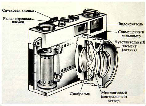 Как работает пленочный фотоаппарат: Устройство фотоаппарата. Пленочные ...