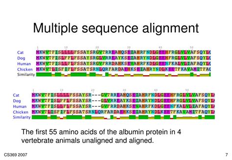 multiple sequence alignment powerpoint