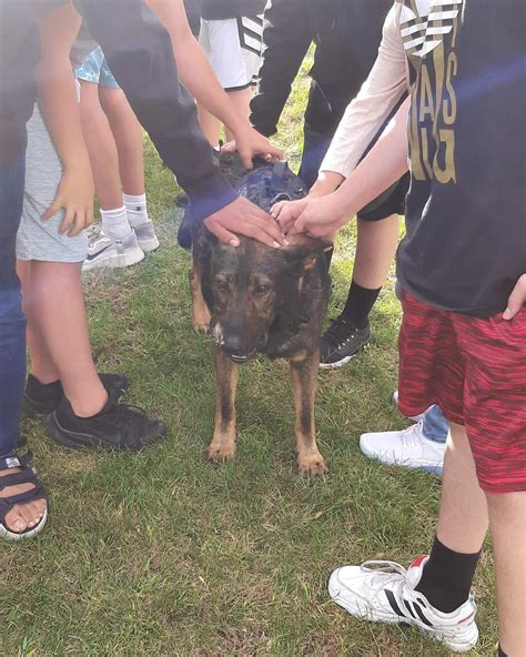 Residents react as the strongsville police dept adds new patrols 4