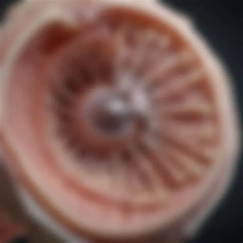 exploring joint cartilage structure  health impacts