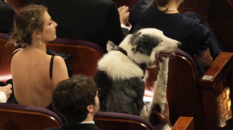 Oscars highlights 2024: Best moments from the Oscars include Emma Stone