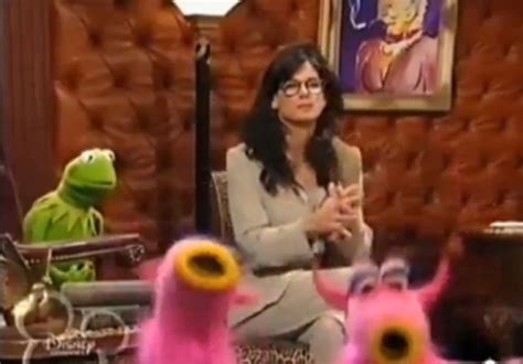 3 Interesting "Muppets Tonight" Guest Appearances - HubPages