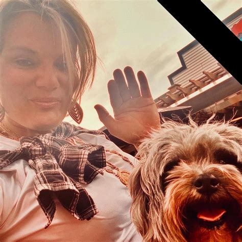 Mila and Theo are looking for a new home these West Highland Terriers