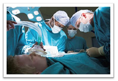 Shocking Report Will Reveal How Doctors Hasten Death to Harvest ...