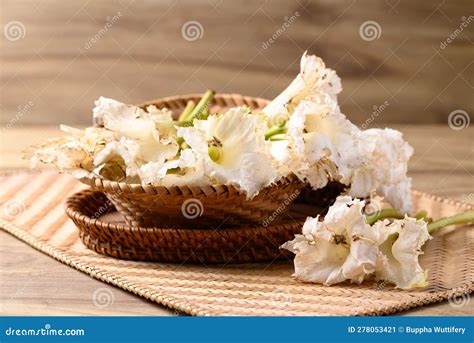 Thai Edible Flowers (Dolichandrone Serrulata) from Organic Local ...