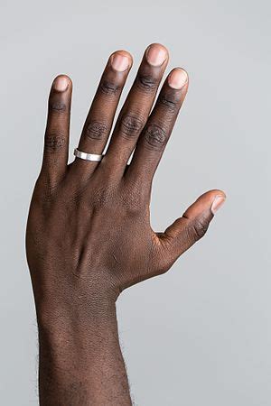 Hand - Wikipedia