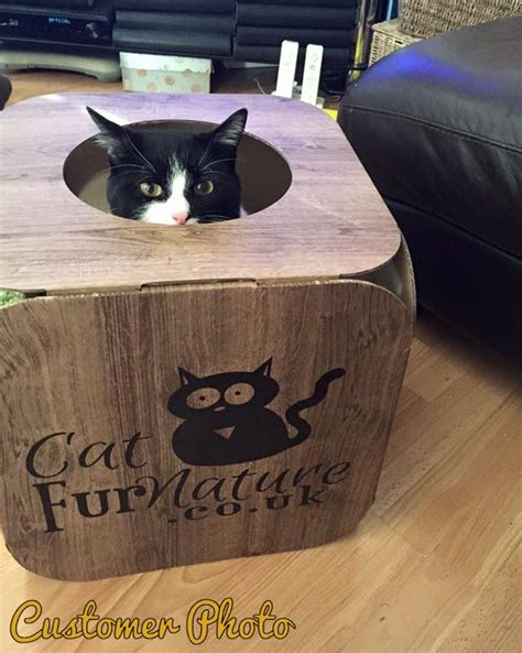 wood effect cat cube cat pod cat cube cats