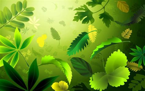 🔥 [50+] Zoo Wallpapers | WallpaperSafari