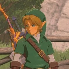 link legend  zelda pfp  cosmic demon