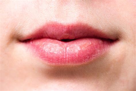 Mouth
