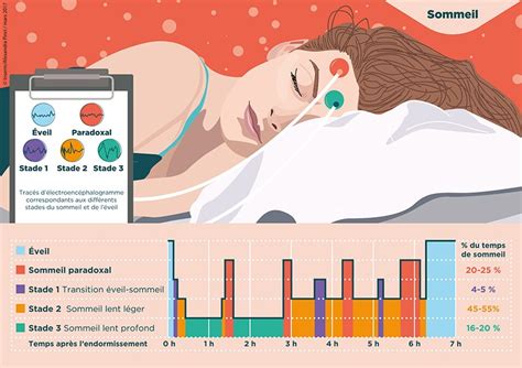 sommeil inserm la science pour la sante