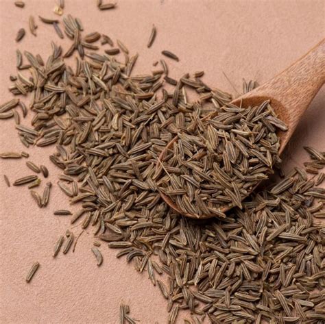 Egyptian Caraway Seeds – Spice Tribe