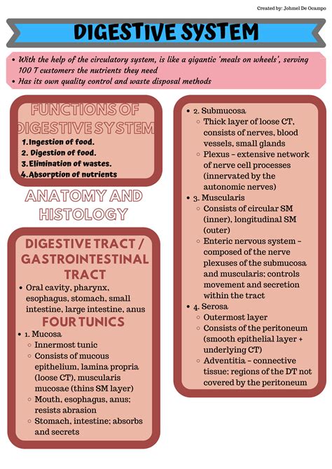 Anatomy And Physiology Digestive System Lecture Notes