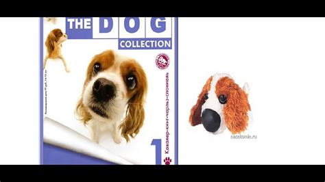 The Dog Collection (1-выпуск) "10 минут Няшности"! - YouTube