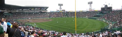 hanshin tigers   japan