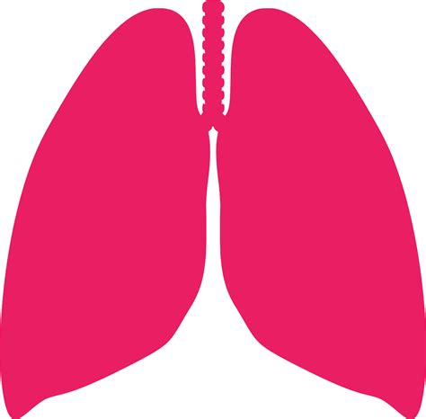 svg breathing medicine lungs anatomy  svg image icon svg silh