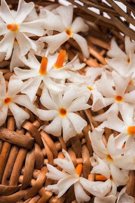 Parijat Ka Phool 9