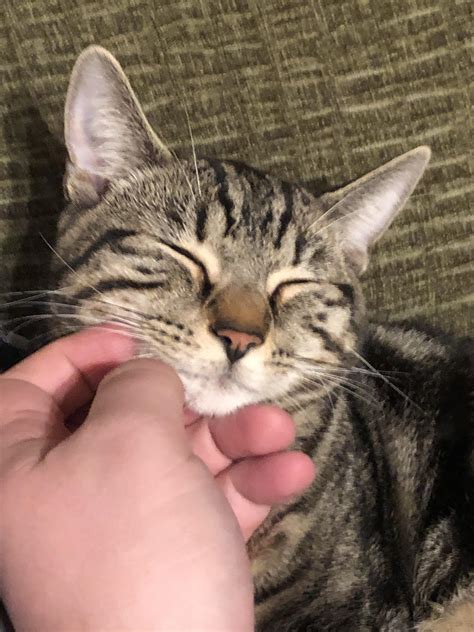 Last Monday I lost my best friend. I love him so much and I hope I get to see him again someday