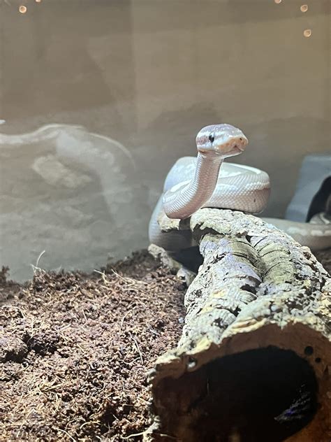 Anya Matusevich - Anya Matusevich updated her cover photo.