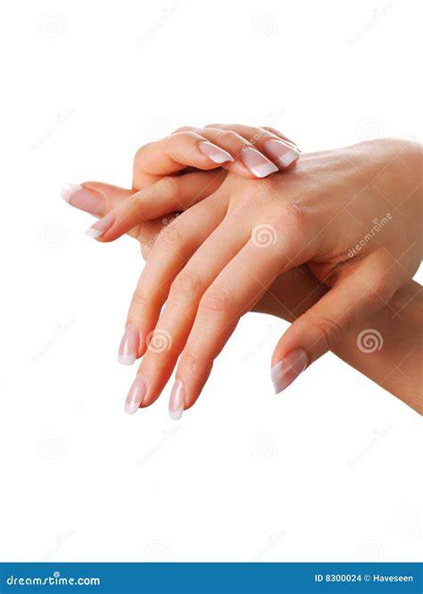 Beautiful hands stock photo. Image of hand, body, french - 8300024