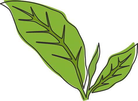 single continuous  drawing healthy organic tea leaves