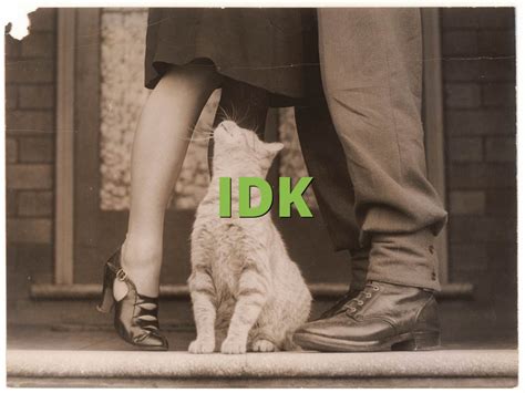 idk meaning slangorg