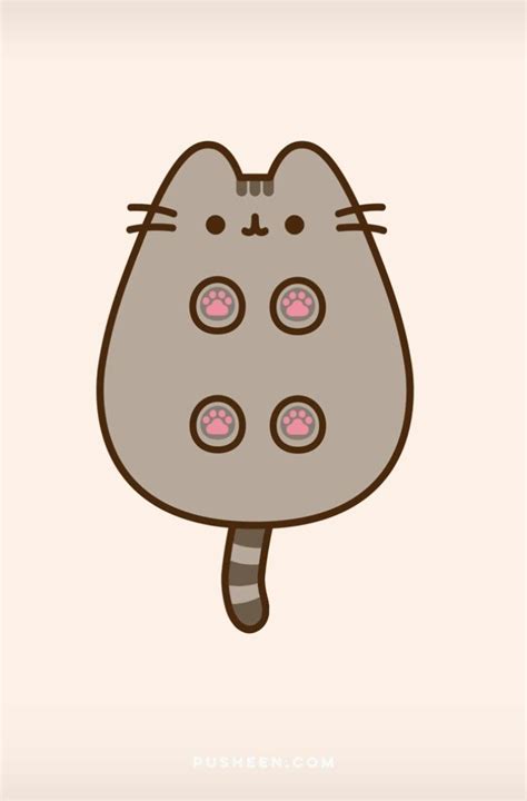 a gray cat with pink eyes on it's face