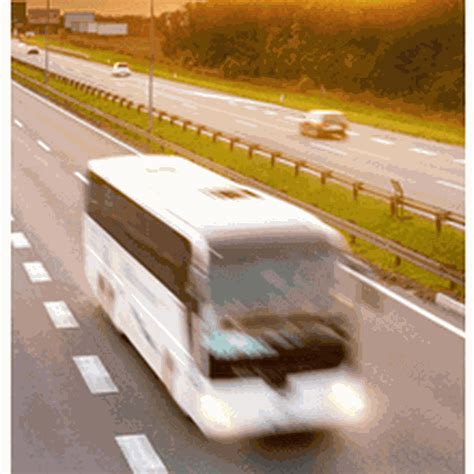 50% DESCUENTO con el código de descuento Primera Plus en Noviembre 2025